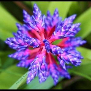 Meet your Posher, Whitney